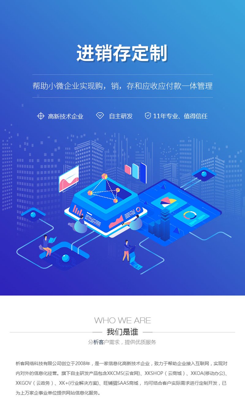 进销存系统开发:企业管理的新航标